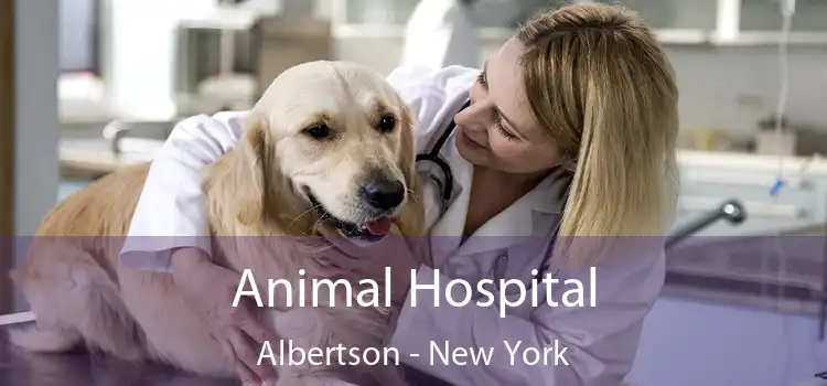 Animal Hospital Albertson - New York