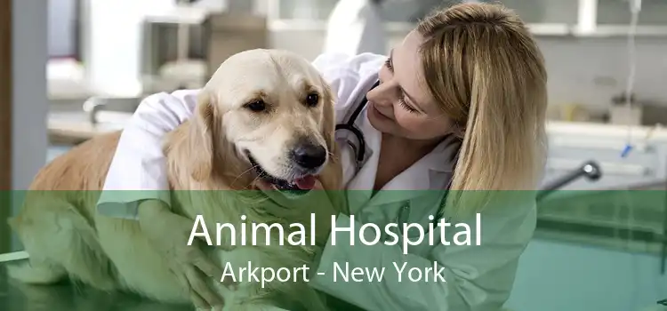 Animal Hospital Arkport - New York
