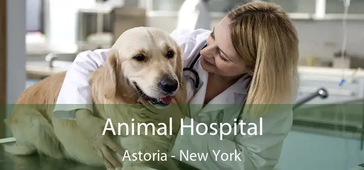 Animal Hospital Astoria - New York