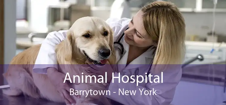 Animal Hospital Barrytown - New York