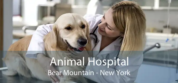 Animal Hospital Bear Mountain - New York