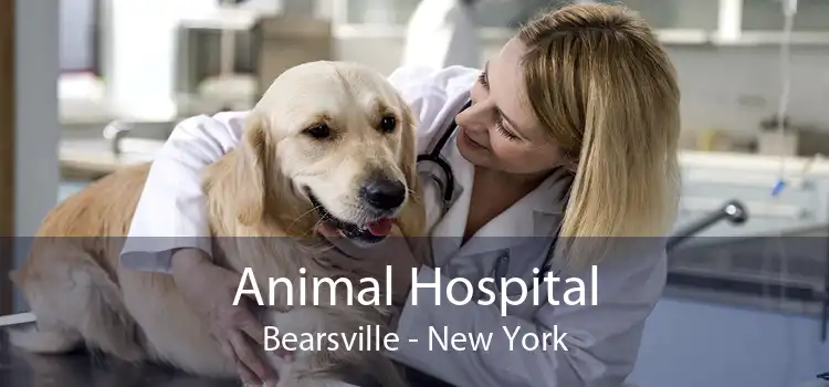 Animal Hospital Bearsville - New York