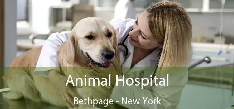 Animal Hospital Bethpage - New York