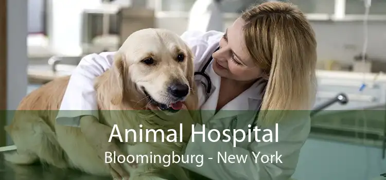 Animal Hospital Bloomingburg - New York