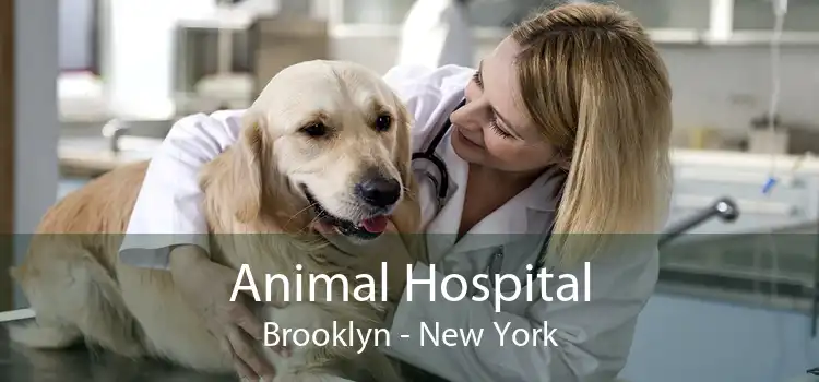 Animal Hospital Brooklyn - New York
