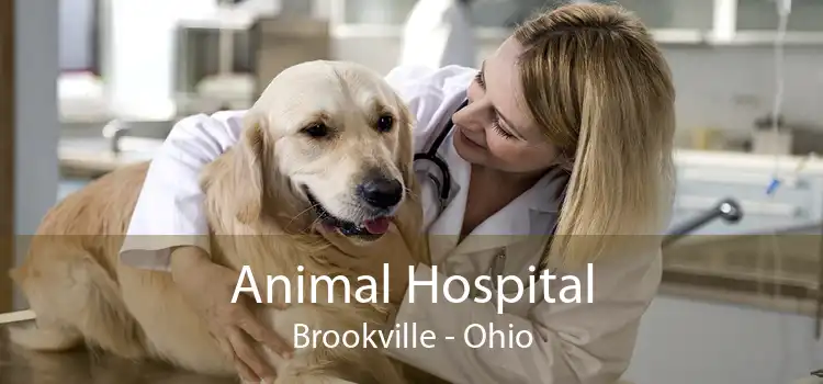 Animal Hospital Brookville - Ohio