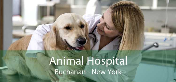 Animal Hospital Buchanan - New York