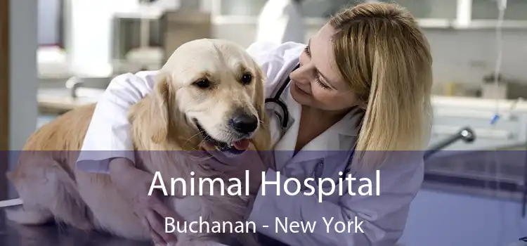 Animal Hospital Buchanan - New York