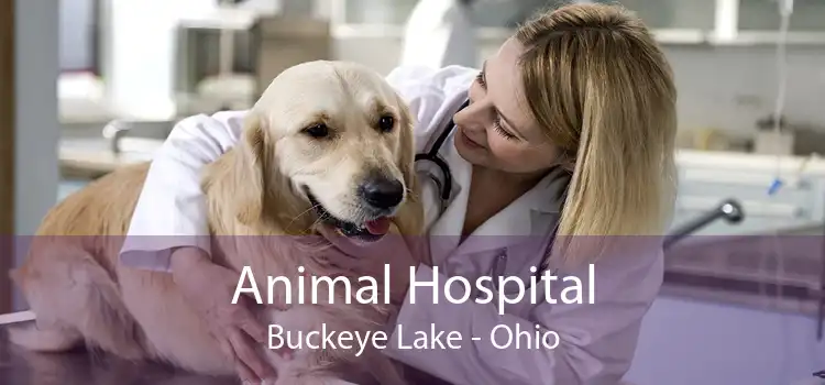 Animal Hospital Buckeye Lake - Ohio