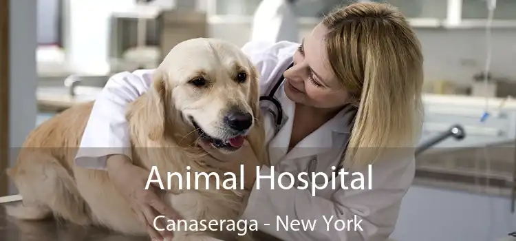 Animal Hospital Canaseraga - New York