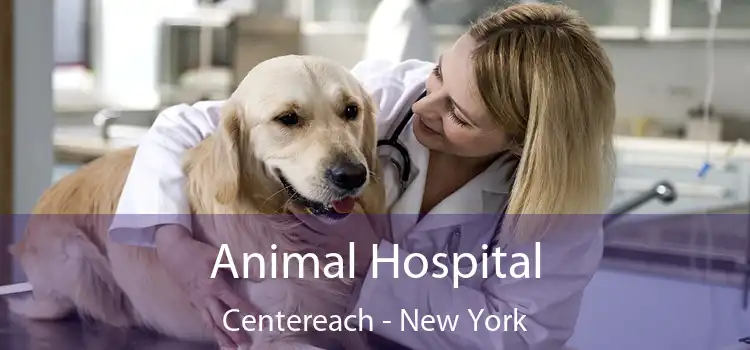 Animal Hospital Centereach - New York