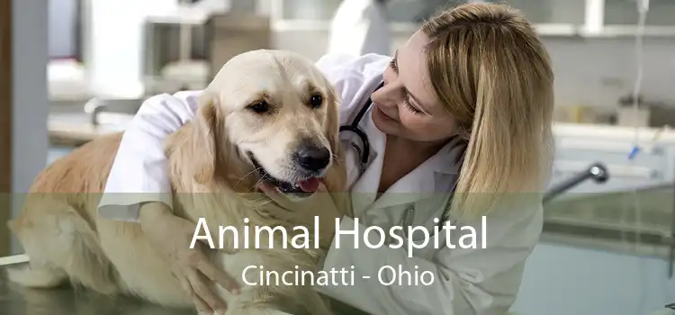 Animal Hospital Cincinatti - Ohio