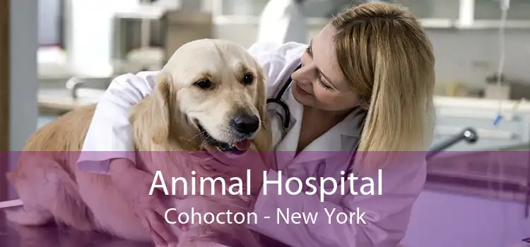 Animal Hospital Cohocton - New York