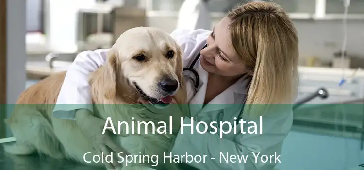 Animal Hospital Cold Spring Harbor - New York