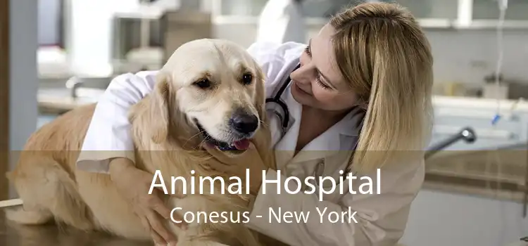 Animal Hospital Conesus - New York