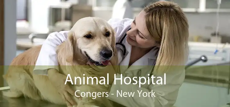 Animal Hospital Congers - New York