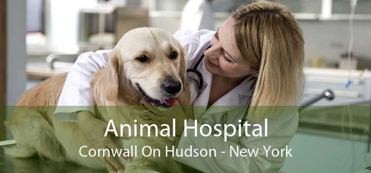 Animal Hospital Cornwall On Hudson - New York