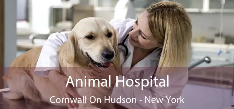 Animal Hospital Cornwall On Hudson - New York