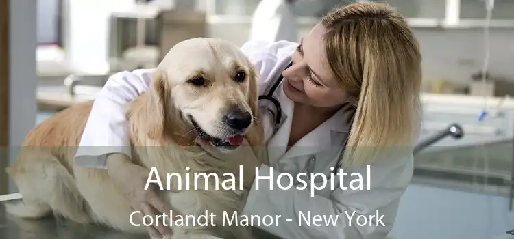 Animal Hospital Cortlandt Manor - New York