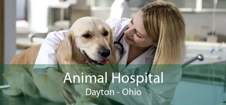 Animal Hospital Dayton - Ohio