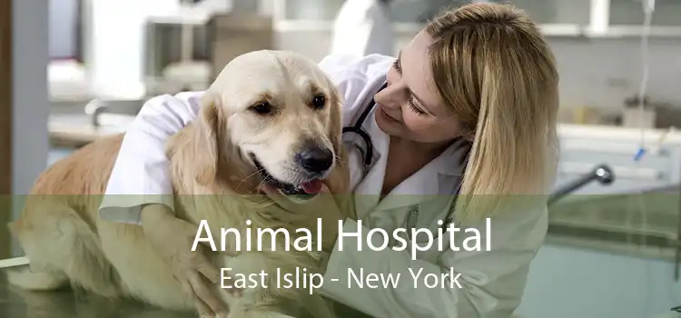 Animal Hospital East Islip - New York
