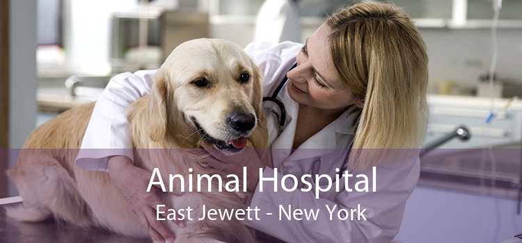 Animal Hospital East Jewett - New York
