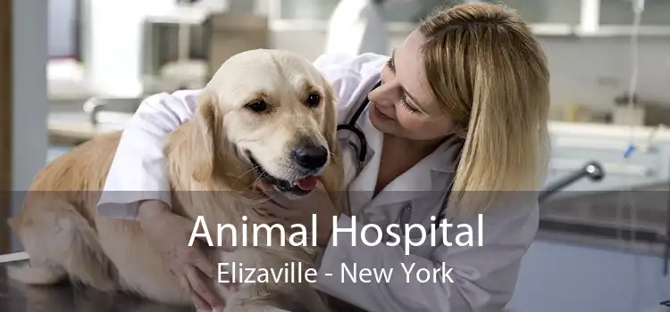 Animal Hospital Elizaville - New York