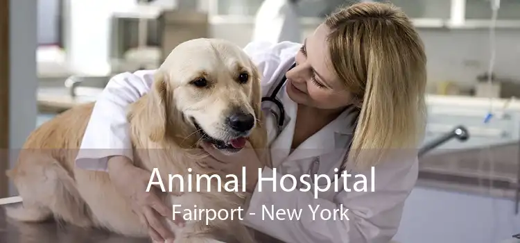 Animal Hospital Fairport - New York