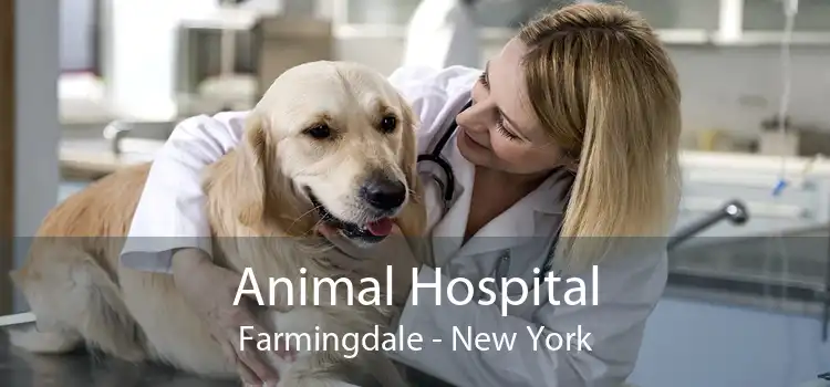 Animal Hospital Farmingdale - New York