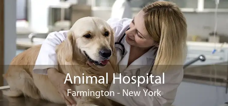 Animal Hospital Farmington - New York