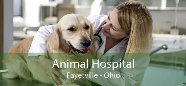 Animal Hospital Fayetville - Ohio