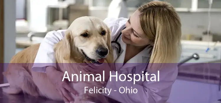 Animal Hospital Felicity - Ohio