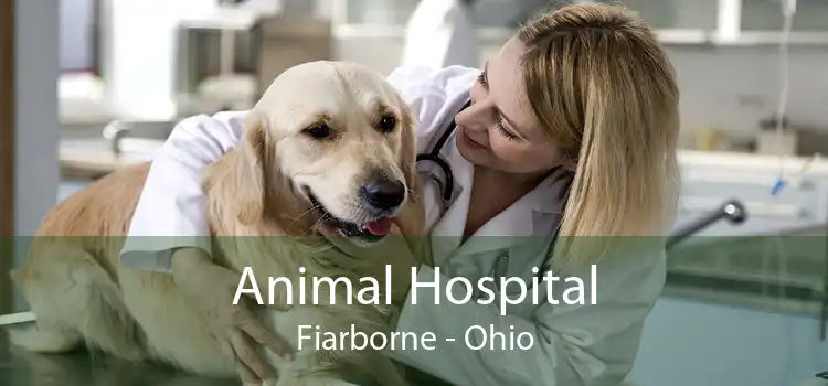 Animal Hospital Fiarborne - Ohio
