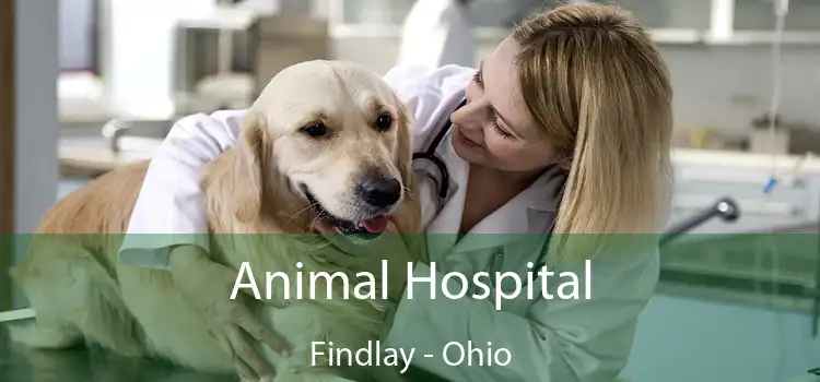 Animal Hospital Findlay - Ohio