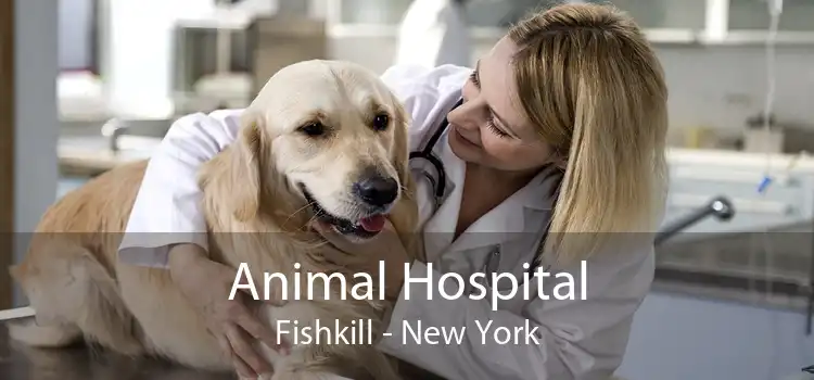 Animal Hospital Fishkill - New York