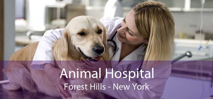 Animal Hospital Forest Hills - New York