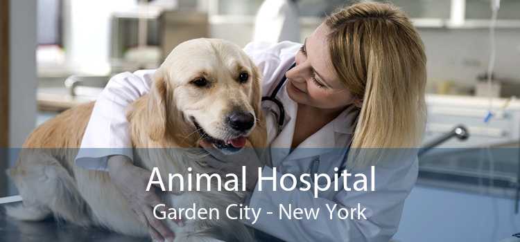 Animal Hospital Garden City - New York