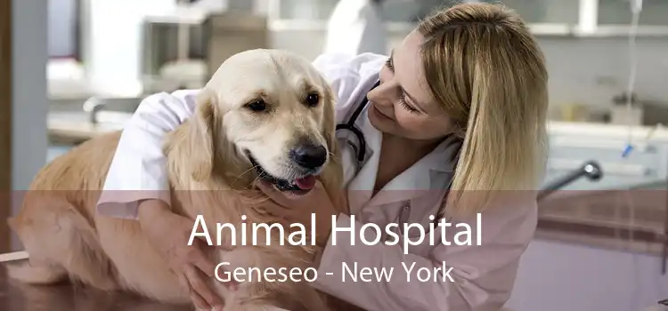 Animal Hospital Geneseo - New York