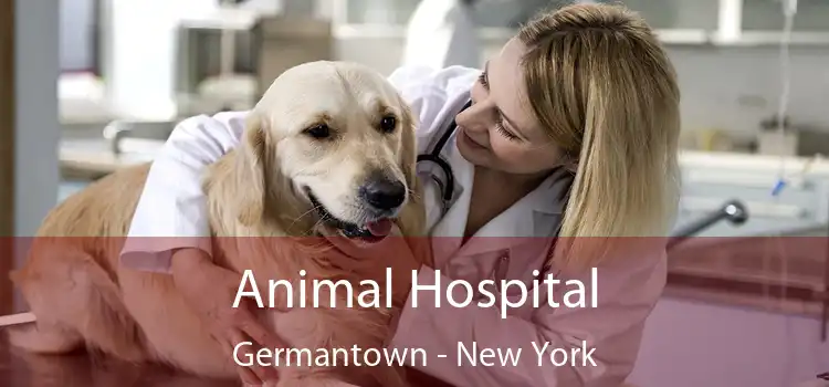 Animal Hospital Germantown - New York