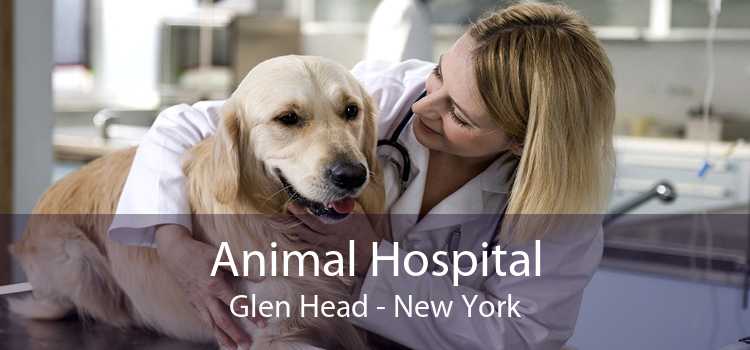 Animal Hospital Glen Head - New York