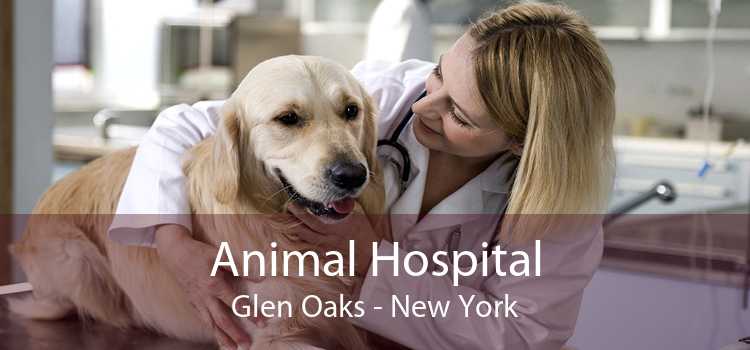 Animal Hospital Glen Oaks - New York
