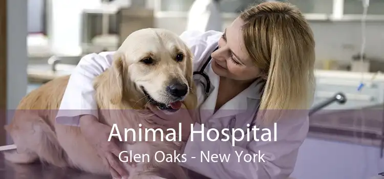 Animal Hospital Glen Oaks - New York