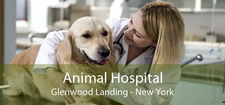 Animal Hospital Glenwood Landing - New York