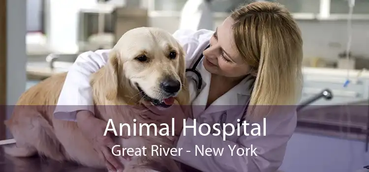 Animal Hospital Great River - New York