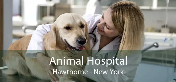 Animal Hospital Hawthorne - New York