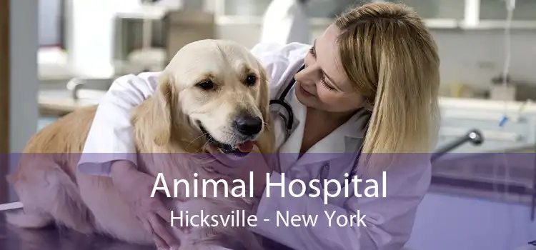 Animal Hospital Hicksville - New York