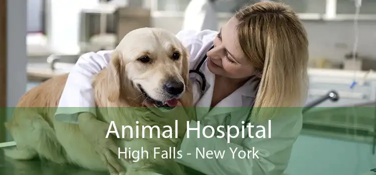 Animal Hospital High Falls - New York