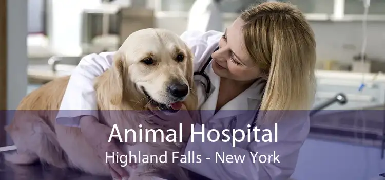 Animal Hospital Highland Falls - New York