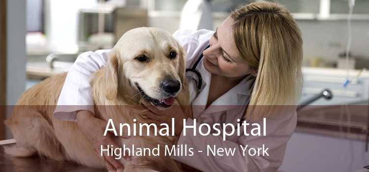 Animal Hospital Highland Mills - New York