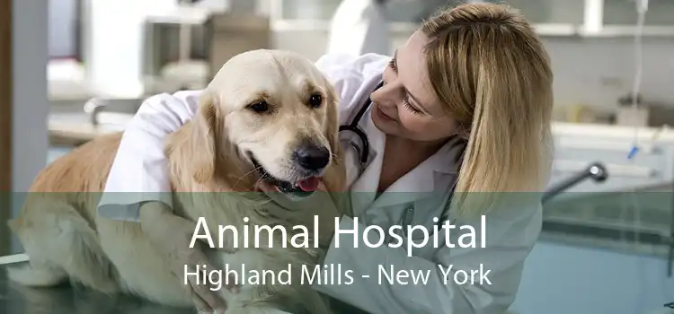 Animal Hospital Highland Mills - New York